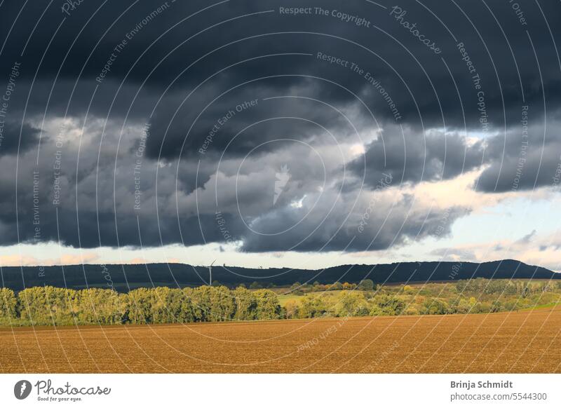 dramatischer dunkler Himmel voller Regenwolken über Feldern und Bäumen in goldenem Licht trees rural dramatic cloudscape panorama weather landscapes sunlight