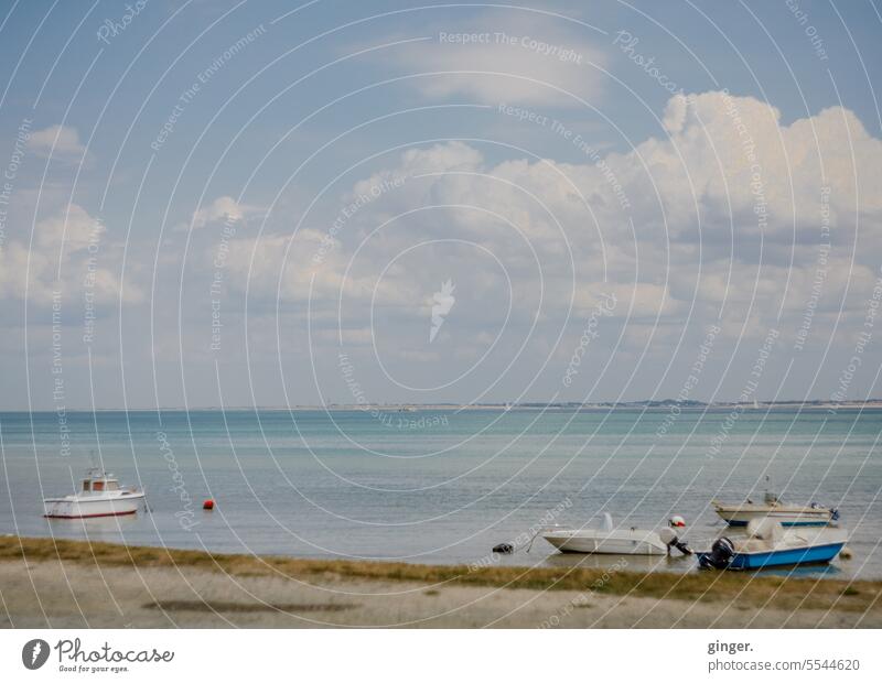Ausflug auf die Île de Ré (3) Umwelt Insel Textfreiraum oben Atlantik ruhig Wolken Ferne Horizont Menschenleer blau Schönes Wetter Sommerurlaub Erholung Sand