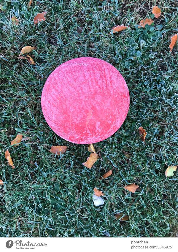 ein roter ball auf einer wiese im herbst. frost gefroren spielen vergessen kalt Außenaufnahme Gras Raureif grün kindheit rund