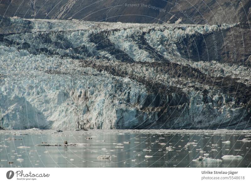 Alaska | Glacier Bay | Abbruchkante eines Gletschers mit Eisbrocken fliesst in das Meer Gletscherzunge schmelzen Gletscherschmelze Gletschereis Wasser Frost