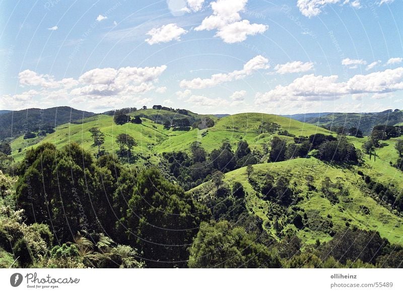 Grünes Down Under zyan Wolken Baum Blatt Gras grün Australien Sträucher Zaun Hügel Außenaufnahme Himmel blau Ast Rasen Landschaft Berge u. Gebirge Freiheit