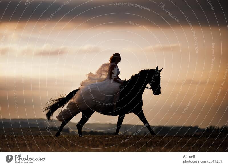 Braut auf schwarzem Pferd im Galopp am Abend Brautkleid reitend Rappe abends letztes Licht Schleier Tempo davonstürmen wehender Schleier Reiterin im Brautkleid
