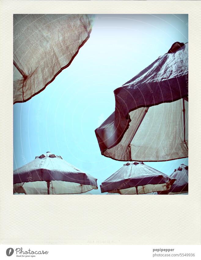 Polaroid –  Sonnenschirme aus Vogelperspektive fotografiert Sconnenschirm Strand Meer Sand Ferien & Urlaub & Reisen sonnenschutz Urlaubsstimmung Urlaubsfoto