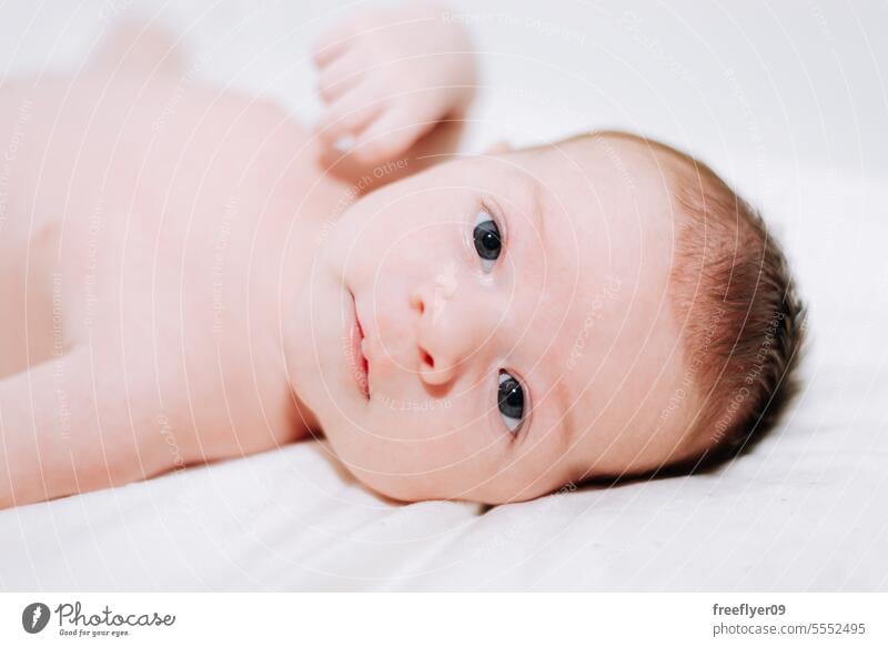 Porträt eines Neugeborenen in Studiobeleuchtung gegen Weiß Baby neugeboren Erstgeborenes Verlegung Hinlegen Textfreiraum Elternschaft Mutterschaft Unschuld