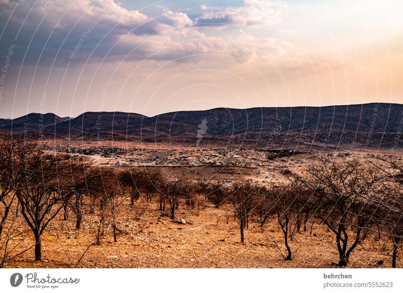 wildes namibia träumen Dämmerung Afrika Einsamkeit magisch Landschaft Wüste Ferien & Urlaub & Reisen Himmel traumhaft romantisch kaokoveld opuwo Sträucher