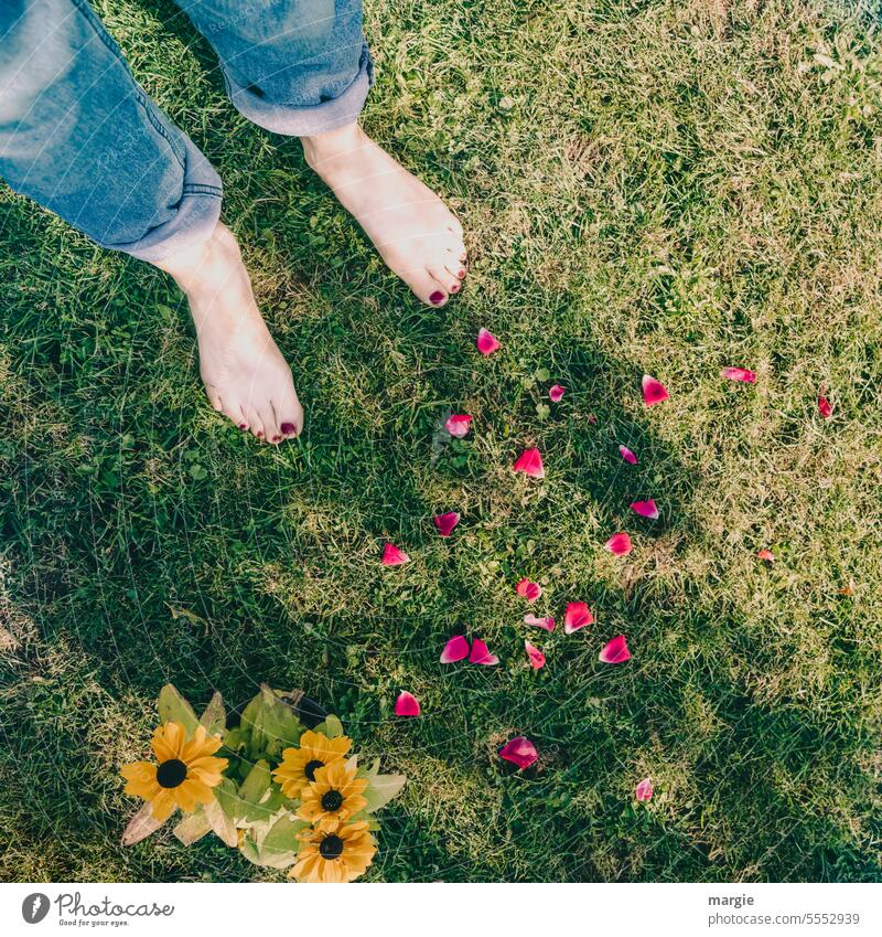 Barfuß - Erlebnis auf Rosenblätter Füße auf dem Boden Wiese Rasen Blumen Frau Jeanshose grün Außenaufnahme Gras Garten Natur Sommer Zehen rot Mensch Nagellack