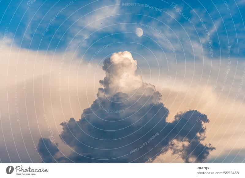 Cumulus vor Mond Wetter Urelemente Luft Himmel Wolken Klima Klimawandel Natur blau Umwelt wolkig Wolkenhimmel meteorologie Klimakrise Meteorologie Atmosphäre