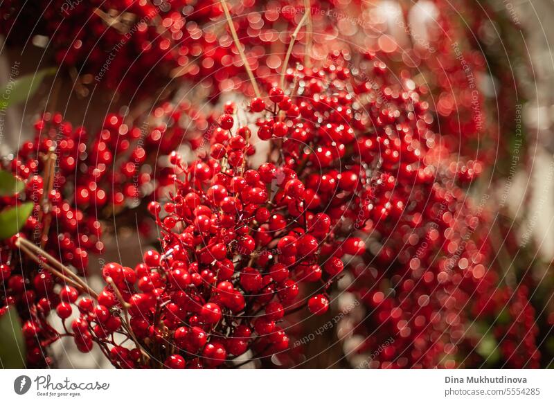 Weihnachtskranz mit roten Beeren Nahaufnahme Hintergrund. Ferienzeit Haus Dekoration. Totenkranz Weihnachten Adventskranz Wohnkultur Dekoration & Verzierung