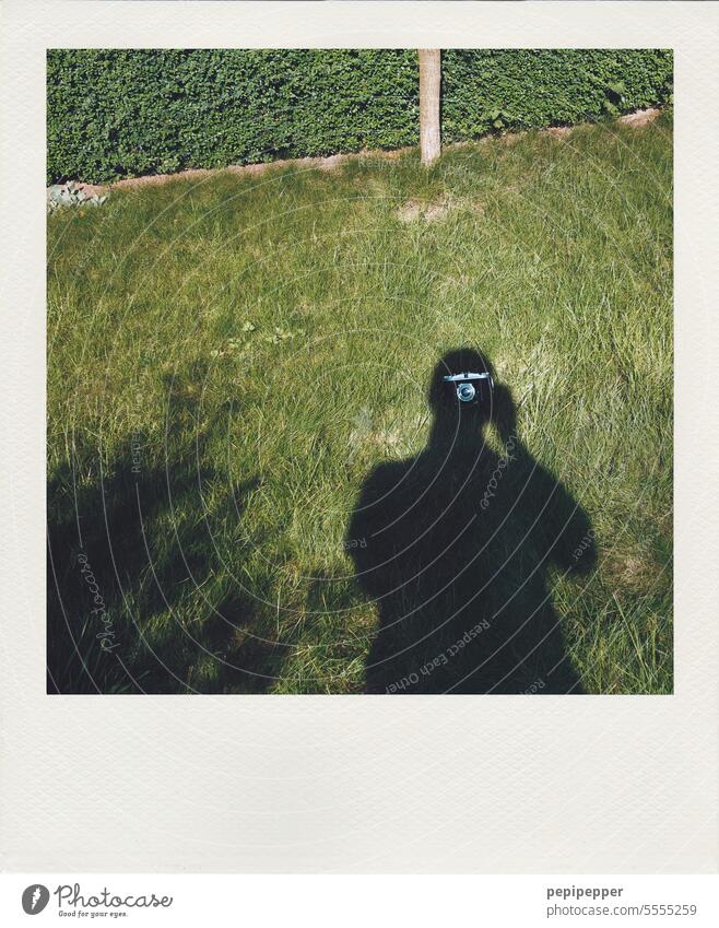 Schattendasein – Selbstportrait im Garten selfportrait Selbstporträts Porträt selbstportait Mann Fotograf Blick in die Kamera Spiegelbild Fotokamera