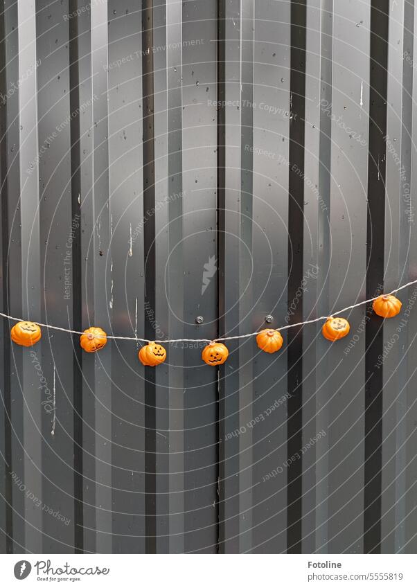 Vor einem schwarzen Wellblechtor hängt eine Lichterkette mit lauter kleinen Kürbisfratzen dran. Kürbiszeit Kürbisse Fratze orange Herbst Halloween Farbfoto