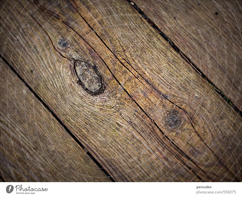 knarz Natur Holz nachhaltig nackt sparsam Zusammenhalt Dielenboden Holzfußboden Holzbrett Maserung puristisch knarren Holzarbeiten Riss Holzauge Astloch