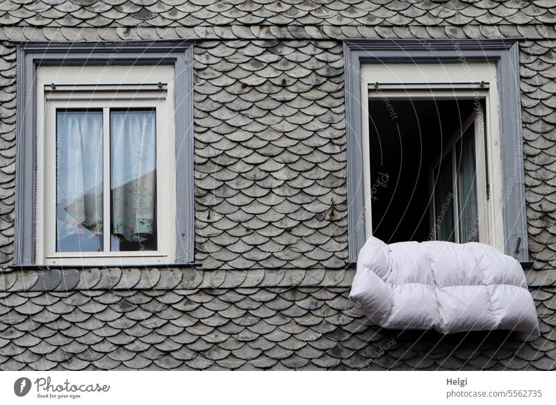 Mainfux-UT | lüften ... Haus Gebäude Fassade Fenster Schindeln Oberbett Lüften geöffnet geschlossen Gardine offen Häusliches Leben Wohnung Menschenleer Wand