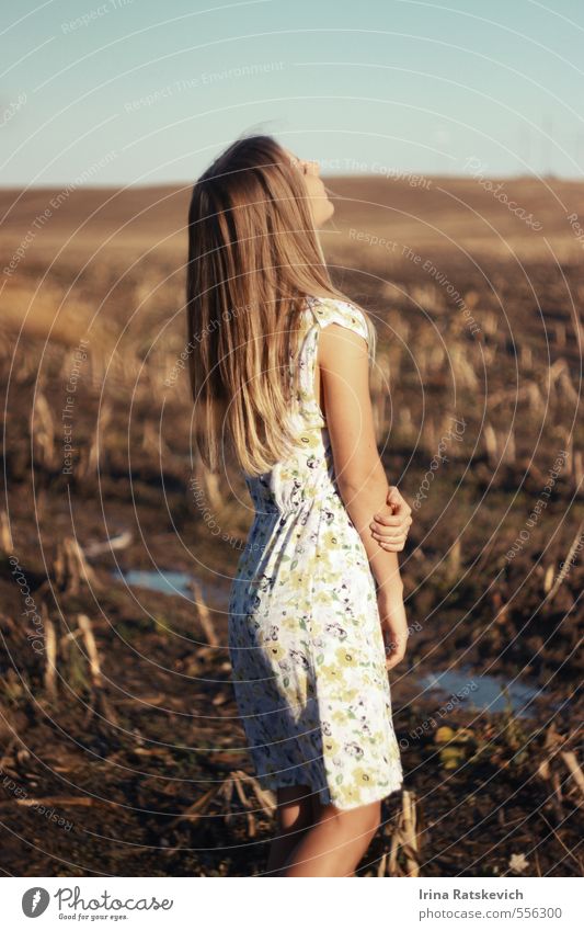 verträumte Stimmung Junge Frau Jugendliche Körper Haare & Frisuren 1 Mensch 18-30 Jahre Erwachsene Natur Landschaft Erde Himmel Sonnenlicht Herbst