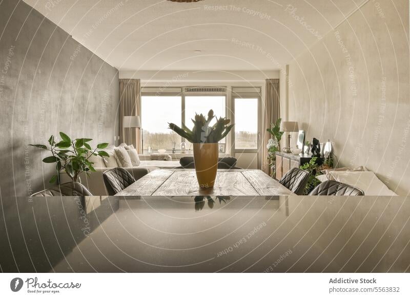 Interieur eines Wohnzimmers mit Möbeln und Zimmerpflanzen Sofa Pflanze speisend modern Appartement Abfertigungsschalter eingetopft Vase Fenster Haus Tisch Lampe