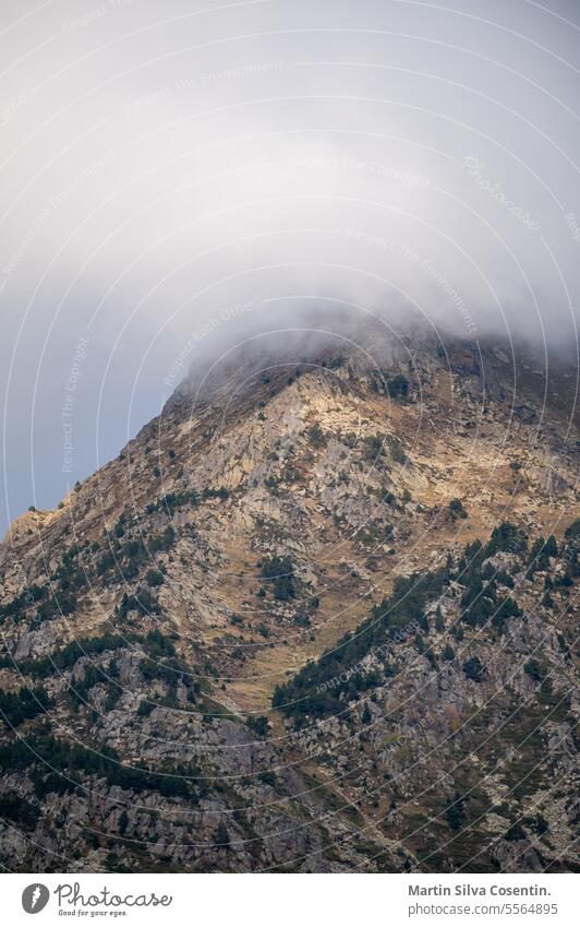 Ein nebelverhangener Berg in den Pyrenäen in Andorra. Abenteuer alpin Alpen Asien Hintergrund schön Schönheit blau China Cloud Morgendämmerung Umwelt Nebel Wald