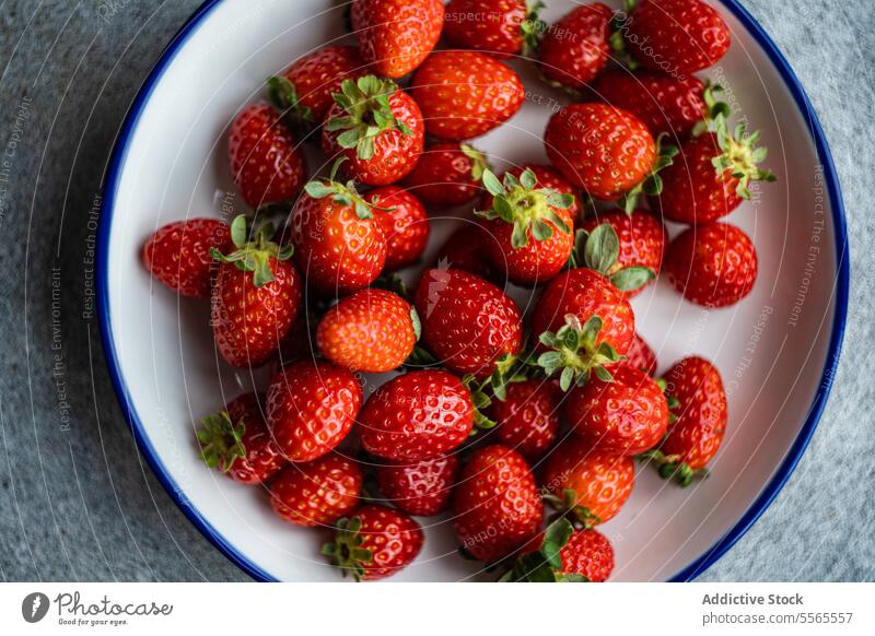 Bio-Erdbeeren auf einem weiß-blauen Teller. organisch rot grün Frucht Blatt frisch reif Beeren Lebensmittel Gesundheit Vegetarier Veganer Rand grau Hintergrund