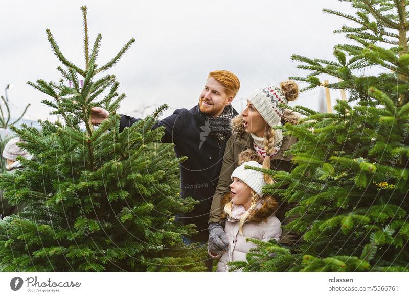 Familie kauft Weihnachtsbaum auf dem Markt und nimmt ihn mit nach Hause Tochter Kind überrascht Glück skeptisch Rotschopf Tradition Wahl Lächeln Mann Liebespaar