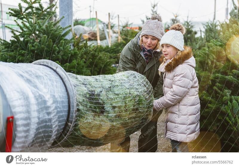 Verkäuferin mit einem Kind, das auf einem Weihnachtsmarkt einen gefällten, in ein Plastiknetz verpackten Weihnachtsbaum einwickelt Teamwork kaufen