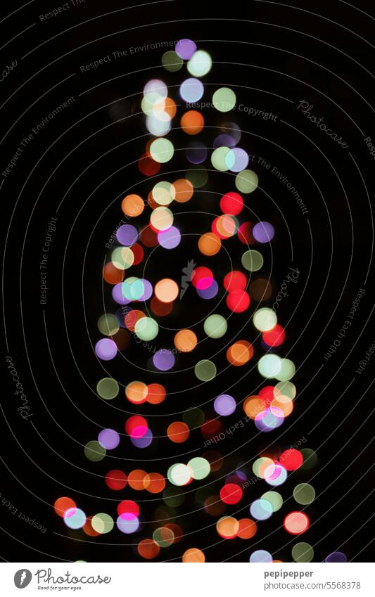 Weihnachtsbaum Weihnachten & Advent Weihnachtsdekoration Tannenbaum weihnachtlich festlich Dekoration & Verzierung Weihnachtsstimmung Feste & Feiern Stimmung
