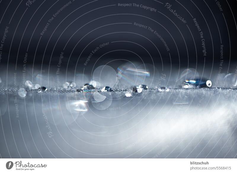 Wassertropfen auf einem Möbelstück wassertropfen Regen Makroaufnahme Nahaufnahme Reflexion & Spiegelung Detailaufnahme Regentropfen glänzend Außenaufnahme