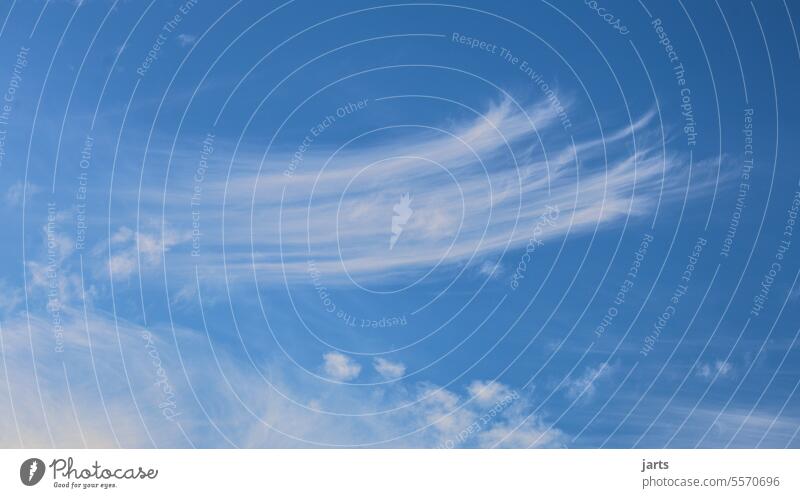 Schleierwolke am blauen Himmel schleierwolken Leichtigkeit Wolken Freiheit leicht schwebend Luft Schweben luftig Schönes Wetter Außenaufnahme Menschenleer