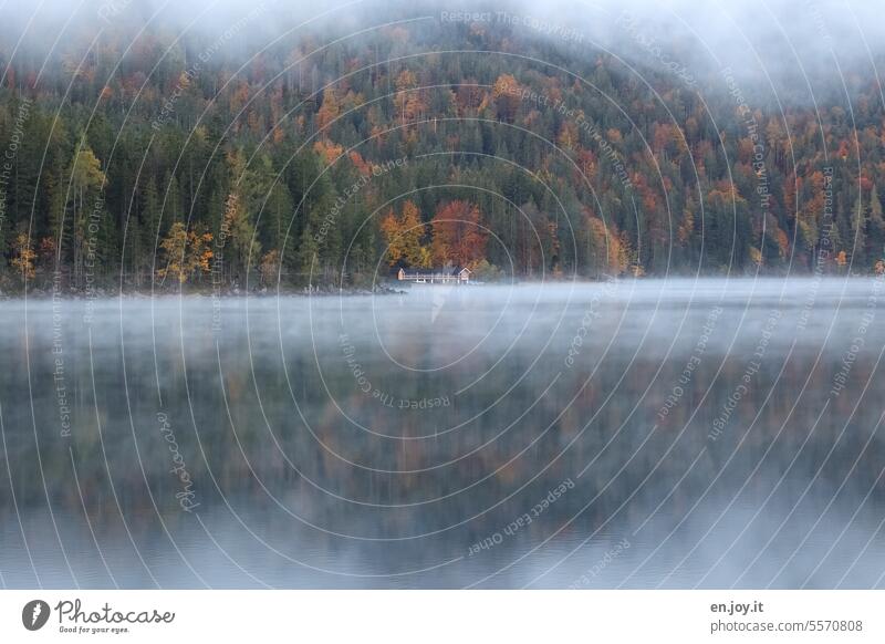 Nebelschwaden über dem Eibsee See Seeufer Herbst Bootshaus Wald Bayern Menschenleer ruhig Reflexion & Spiegelung Ferien & Urlaub & Reisen Landschaft Natur