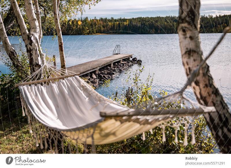 Hängematte an einem See mit Bootssteg Natur Sonne Birke Idyll Idylle Relaxen Baden Schweden Entspannung Ferien & Urlaub & Reisen Außenaufnahme Farbfoto Wasser