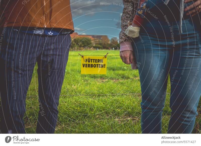 Füttern verboten Schild mit zwei Menschen daneben weiden Weide Gehege Wiese Gras grün Landwirtschaft landwirtschaftlich Zaun umzäunt Umzäunung stromzaun füttern