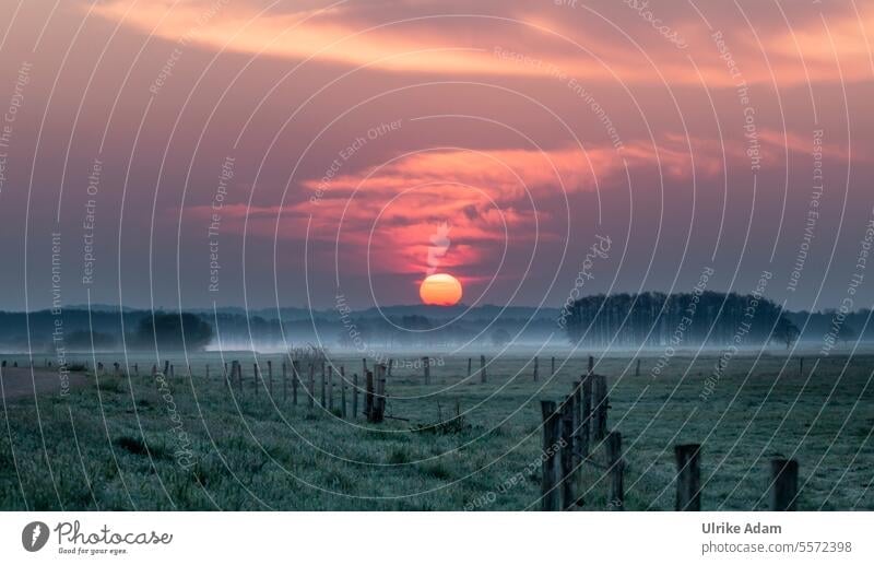 Ein letztes vom Teufelsmoor Naturschutzgebiet Dunst Zaun Sonne Romantik Meditation Nebel Bodennebel Sonnenaufgang Landschaft Menschenleer Umwelt Außenaufnahme