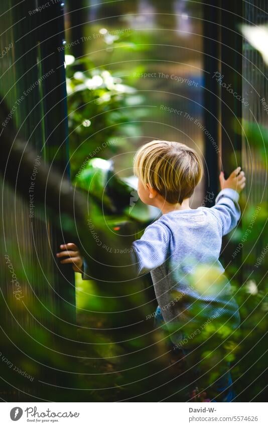 Junge im Garten auf Erkundungstour Kind neugierig erkunden erkundungstour Natur geheimnisvoll entdecken Entdecker niedlich beobachten naturverbunden verwunschen