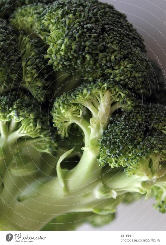 Brokkoli Gemüse grün Kreuzblütengewächs hellgrün gesund Vitamin kochen vegetarisch vegan lecker frisch Lebensmittel Ernährung Gesundheit Bioprodukte
