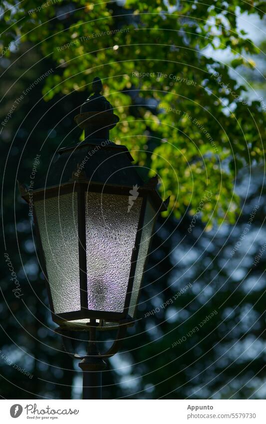 Altmodische Straßenlaterne zu Beginn der Abenddämmerung, grünes Laub und Bäume unscharf im Hintergrund Straßenleuchte Straßenlampe Abendlicht Abendstimmung