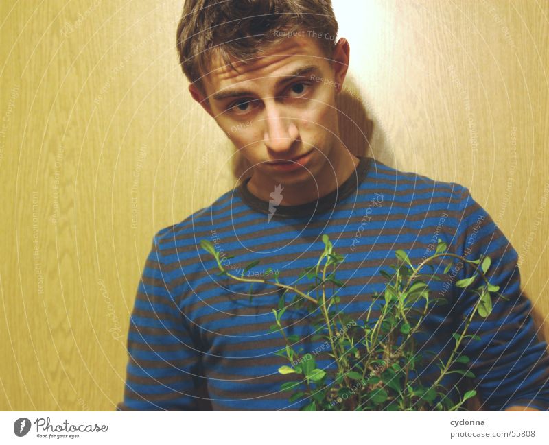 Menschenskind XIII Mann Porträt Stil Wand Holz Hand Körperhaltung Pullover gestreift Grünpflanze Pflanze Blumentopf Tarnung Licht obskur Freude Maserung Gesicht