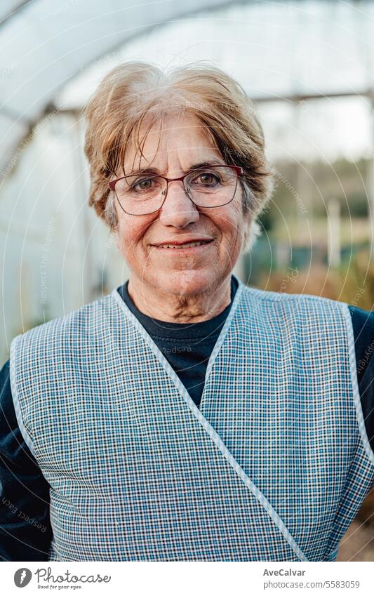 Alte Frau arbeitet lächelnd glücklich in einem Gewächshaus. umweltfreundliche neue Unternehmen, Freiberufler Konzept Ernten Landwirtschaft älter knittern