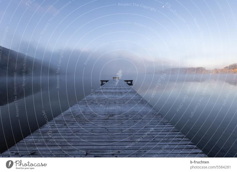 Holzsteg am See am Morgen mit Nebelschleier frostig Steg Seeufer morgenlicht Parkbank Morgendämmerung Landschaft Umwelt Natur ruhig Wasser Außenaufnahme Idylle