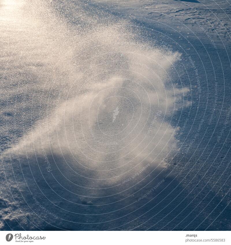 Pustekuchen Schneefall Wind Landschaft Natur Winter Winterstimmung kalt Klima Schneewirbel aufwirbeln Schneedecke Lichterscheinung