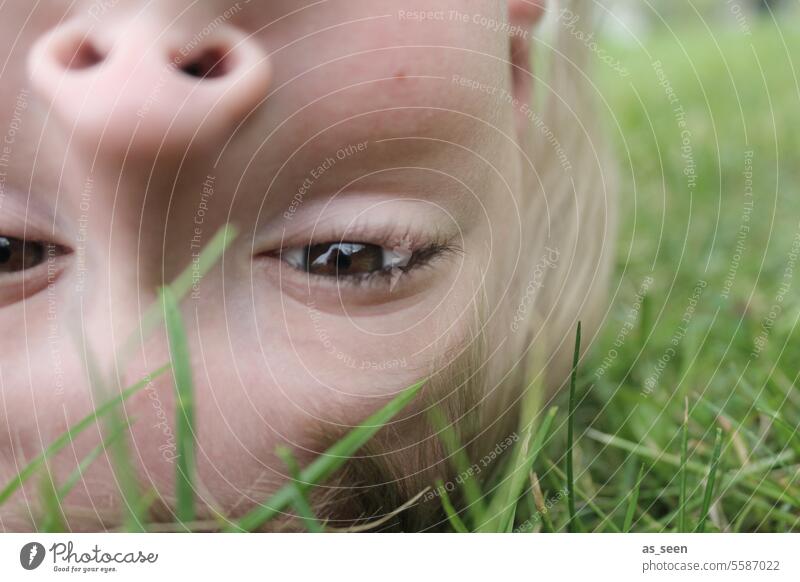 Kopfüber Junge blond kopfüber frech Spaß Kindheit hängen Schaukel Gras Frühling Sommer Garten braune Augen Perspektive kreativ unkonventionell Freude Spielen