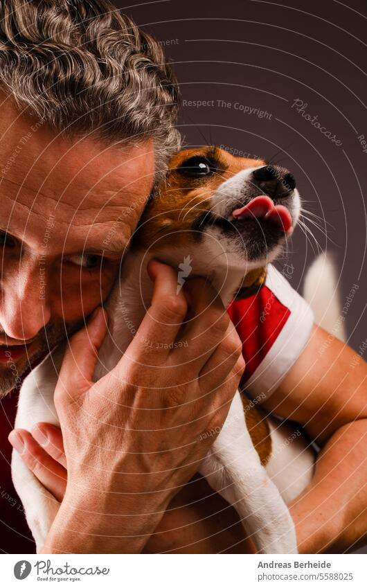Niedlicher junger Jack Russell Terrier auf dem Arm seines menschlichen Freundes Jungtier jack russell Freude Fröhlichkeit aufbewahren Liebe Arme