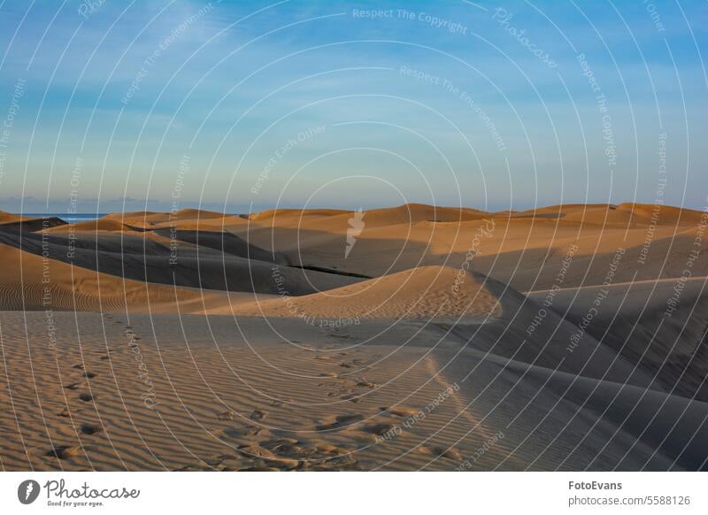 Sanddünen von Maspalomas auf Gran Canaria in Spanien trocknen Textfreiraum Landschaft wüst endlos Natur Feiertage Küste gold Urlaub Hintergrund Düne Sandstrand
