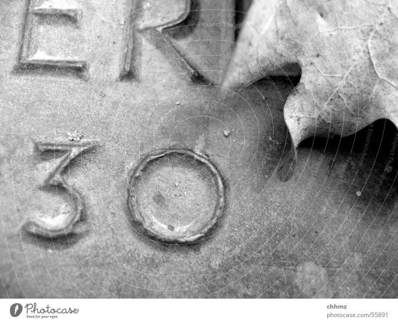 30er Blatt Eichenblatt erinnern Erinnerung Aufschrift erhaben Bronze Ziffern & Zahlen schwarz weiß Schriftzeichen Schwarzweißfoto