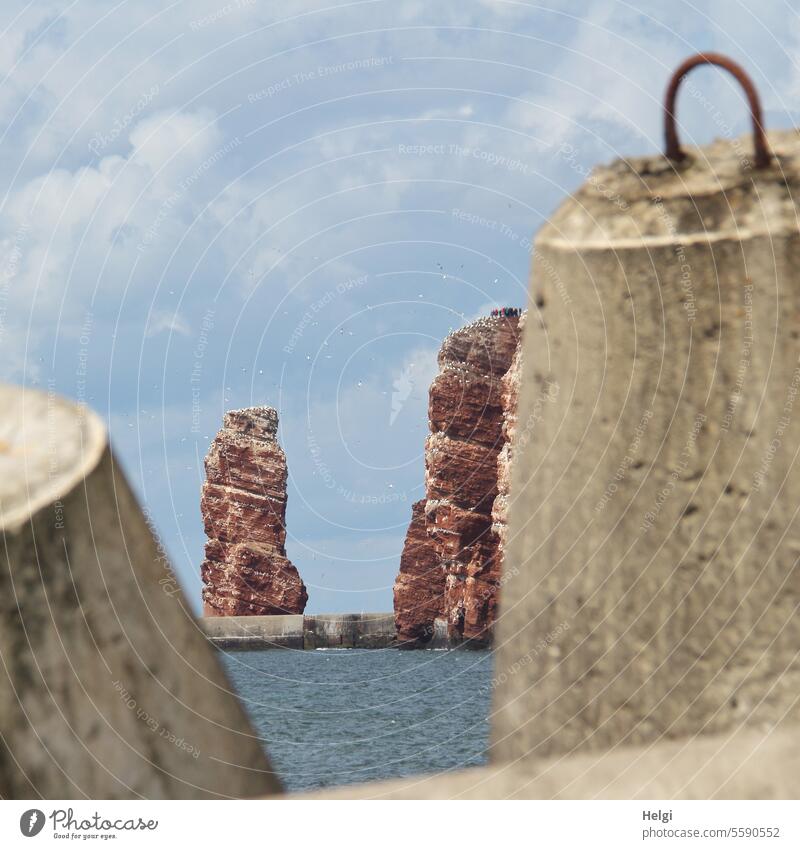 Lange Anna auf Helgoland Felsen Tetrapoden Wasser Meer Nordsee Nordseeinsel roter Felsen Sehenswürdigkeit Außenaufnahme Farbfoto Insel Natur Menschenleer