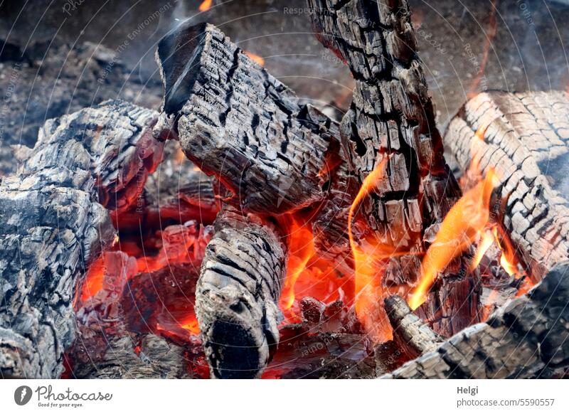 Wärmendes | Lagerfeuer Feuer Glut Holzscheit verbrannt warm heiß wärmen Flamme brennen Feuerstelle Brennholz Brand glühen glühend Außenaufnahme Hitze orange