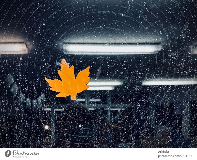 Herbstblatt aus Papier an verregneter Fensterscheibe mit Lichtspiegelung Regen Scheibe Wassertropfen nass Tropfen Blatt Ahornblatt orange schlechtes Wetter
