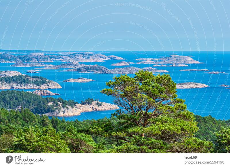 Landschaft auf der Halbinsel Riveneset in Norwegen Meer Küste Nordsee Skagerrak Schären Schärengarten Schäreninsel Felsen Sommer Wasser Natur Südnorwegen Agder