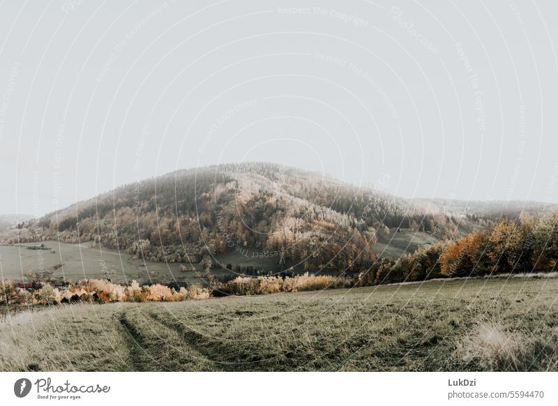 Herbstliche Berge Landschaftsfotografie Außenaufnahmen niemand Farbbild im Freien Herbstfarben Herbstlandschaft herbstlich Wälder Ruhe natürliche Welt