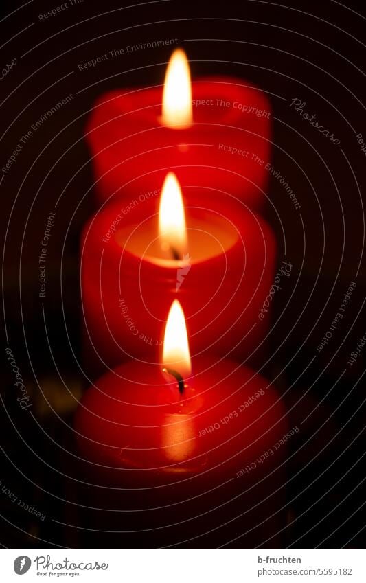 Drei rote Kerzen Kerzenschein Licht Flamme Kerzenflamme brennen Weihnachten & Advent drei Reihe Stimmung besinnlich Romantik Hoffnung Dekoration & Verzierung