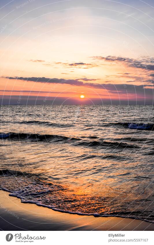 Sonnenuntergang an der polnischen Ostseeküste Küste Polen Meer Strand Himmel Natur Wasser Landschaft Horizont Abend Ferien & Urlaub & Reisen Erholung Sommer