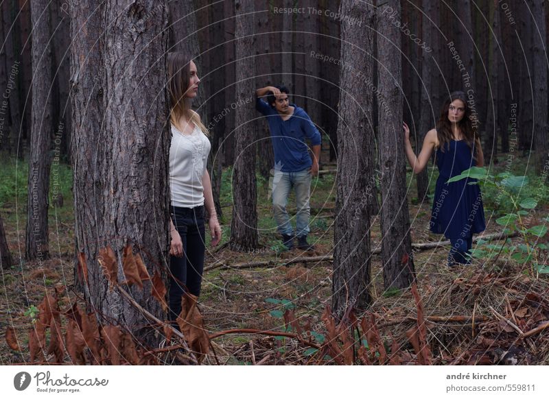 wooden bermuda triangle maskulin feminin Paar 3 Mensch Menschengruppe 18-30 Jahre Jugendliche Erwachsene Natur Herbst Baum Wald beobachten Zusammensein Erotik