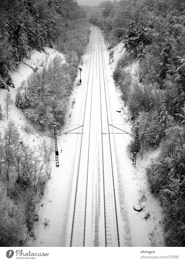 Wintergleisbett Schnee Umwelt Natur Landschaft Schönes Wetter Eis Frost Wald Verkehrswege Personenverkehr Öffentlicher Personennahverkehr