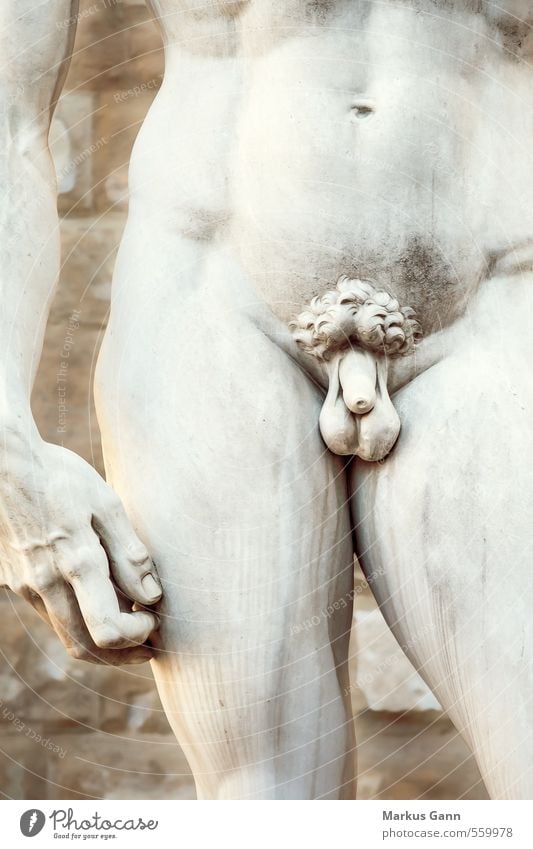 Kleinigkeiten Mensch maskulin Hand Bauch Beine Sex Penis Italien Statue Renaissance David Michelangelo Florenz Genitalsystem Marmor Detailaufnahme Farbfoto